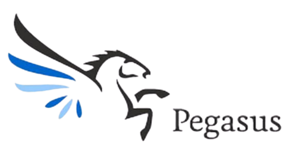 Pegasus Care logo