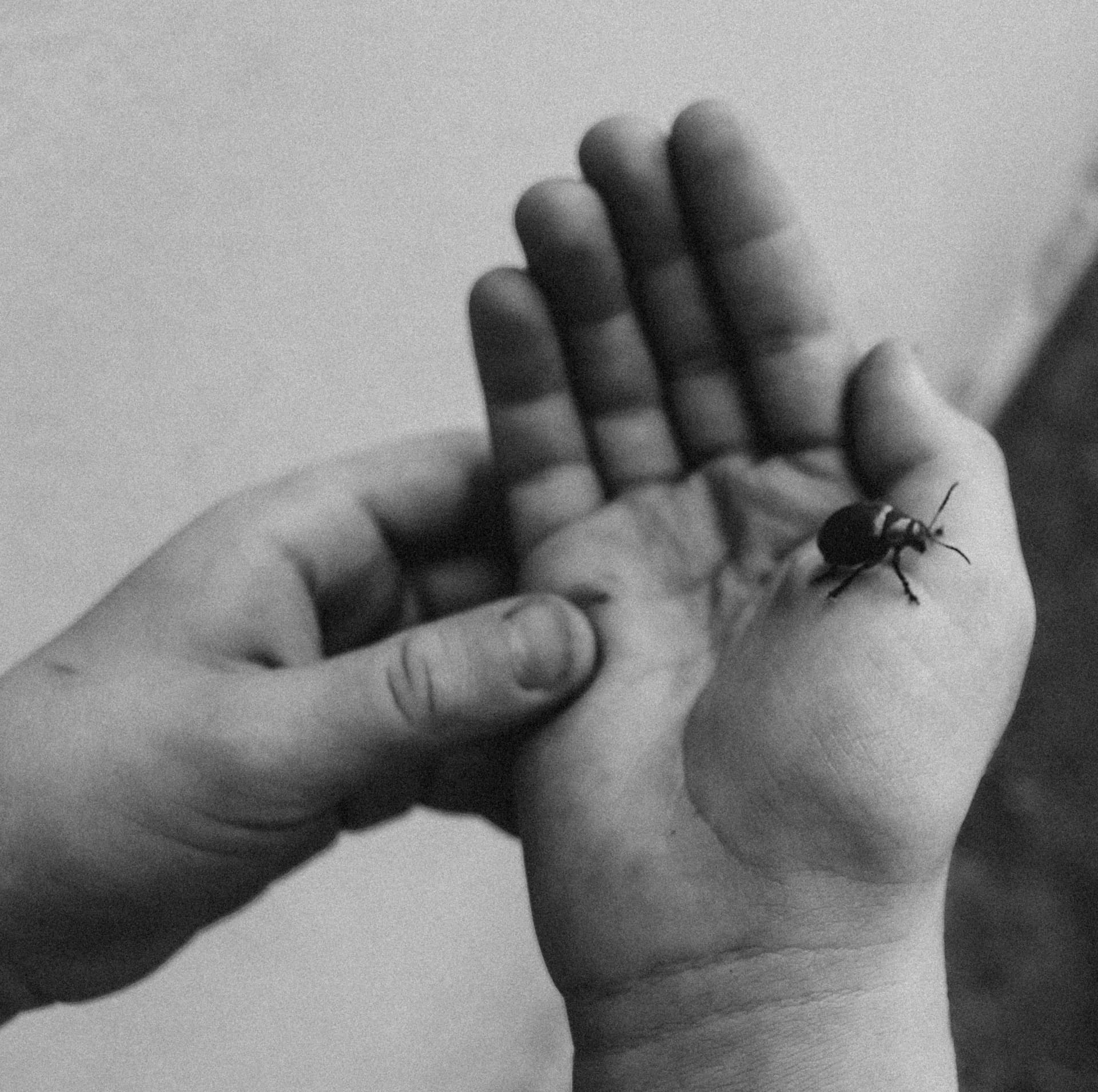 Black and white photo of an adult hand guiding a child's open palm holding a small beetle